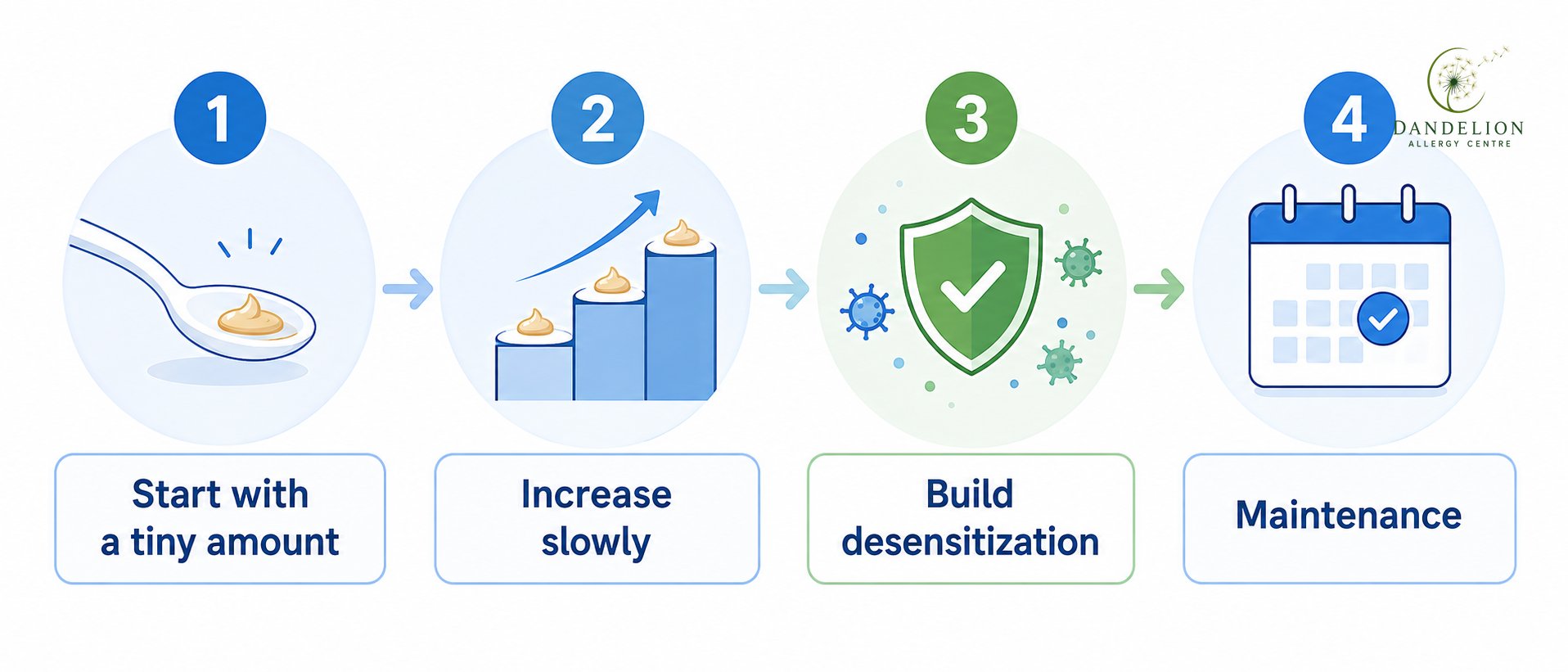OIT process diagram: start with a tiny amount, increase slowly, build desensitization, then maintenance